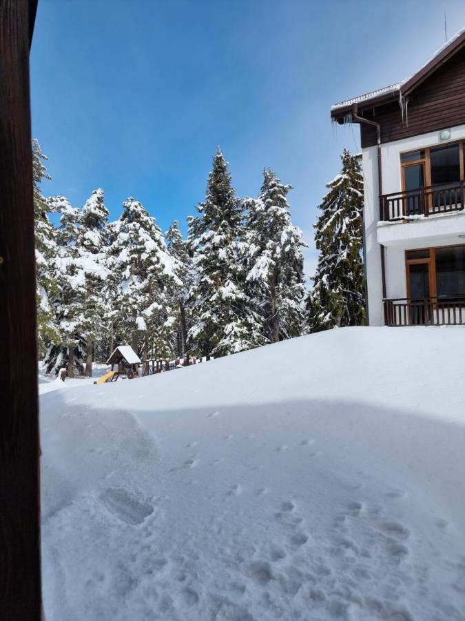 Borovets Ski&Spa Studio - Semiramida Garden A16 المظهر الخارجي الصورة
